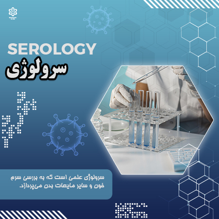 سرولوژی